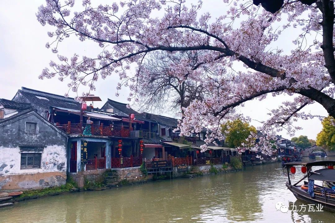 江南春色宛如梦，，，梦在屋舍墙瓦间——尊龙时凯江浙项目案例鉴赏