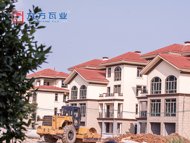 尊龙时凯·Z6(中国区)人生就是拼搏!