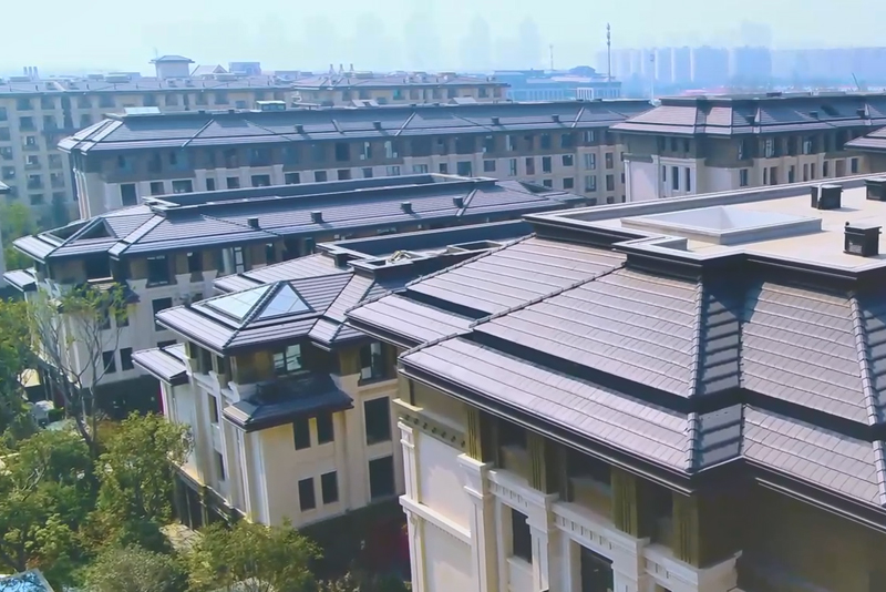 尊龙时凯·Z6(中国区)人生就是拼搏!