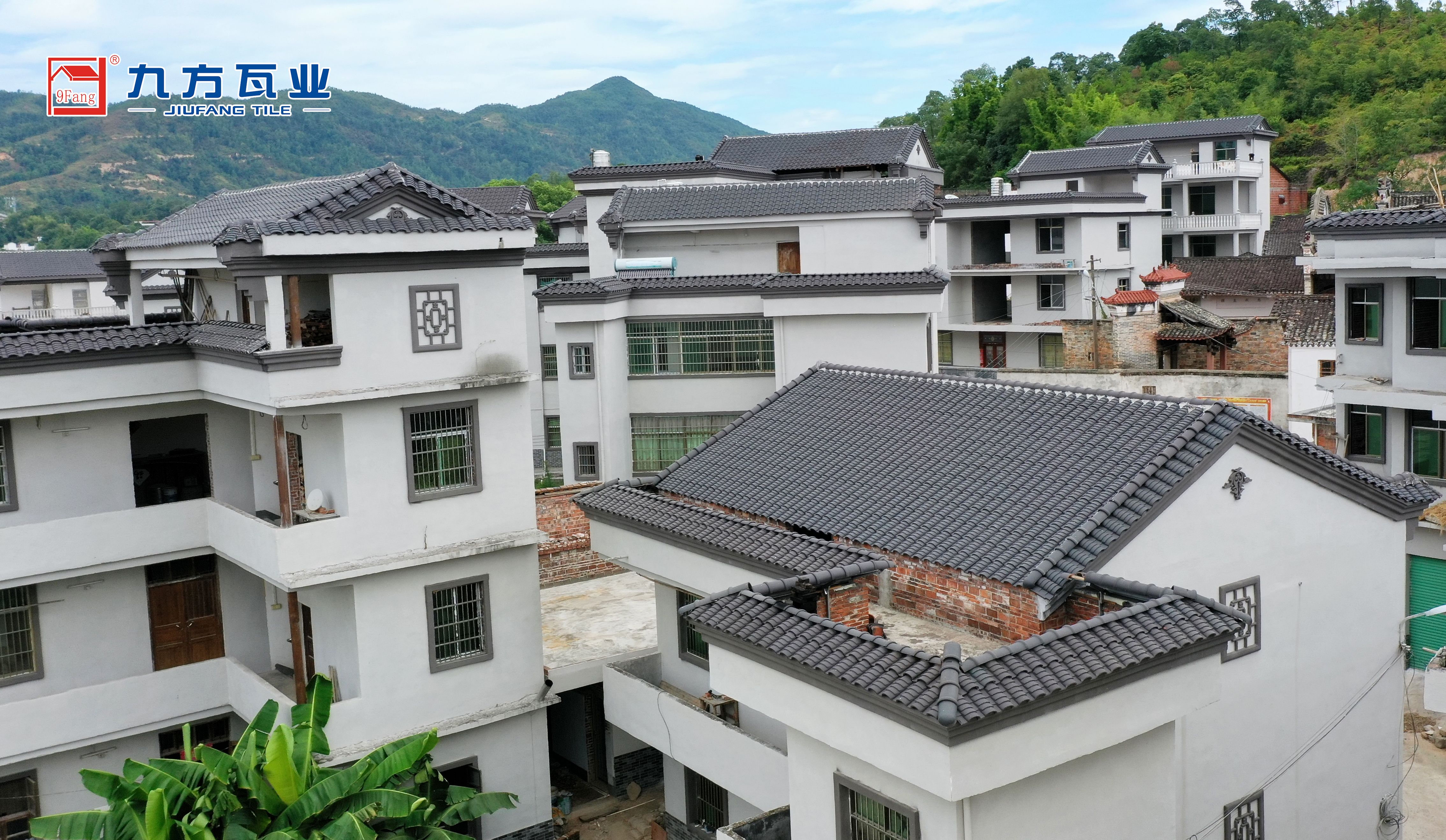 尊龙时凯摘要2022第24期