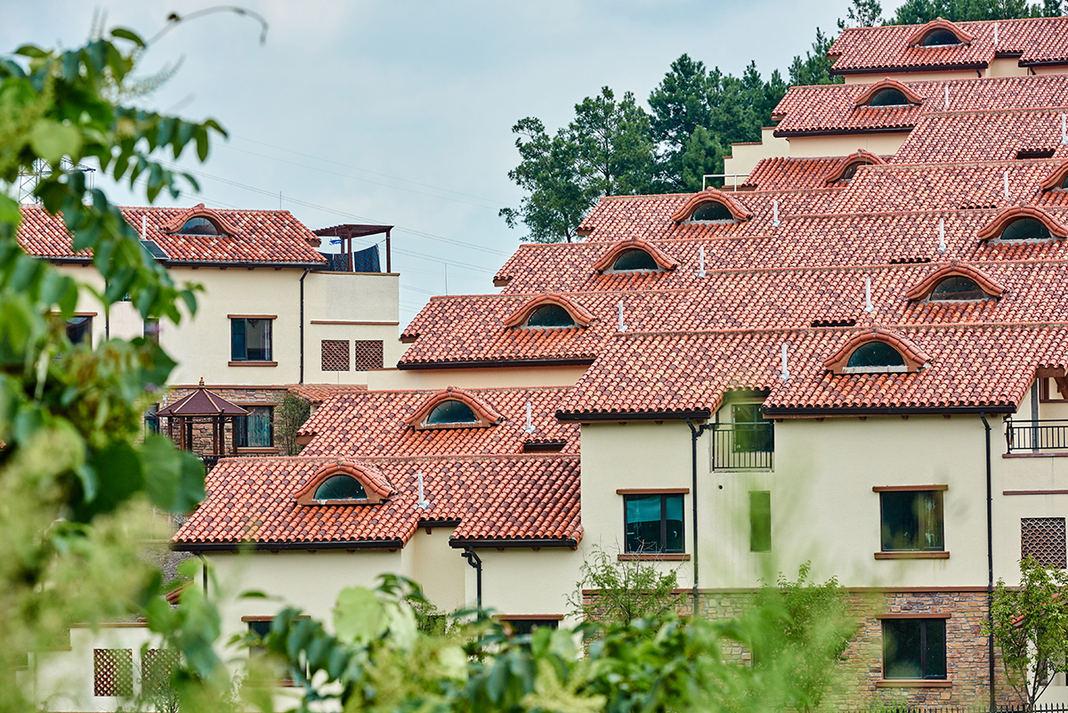 尊龙时凯摘要2023第29期