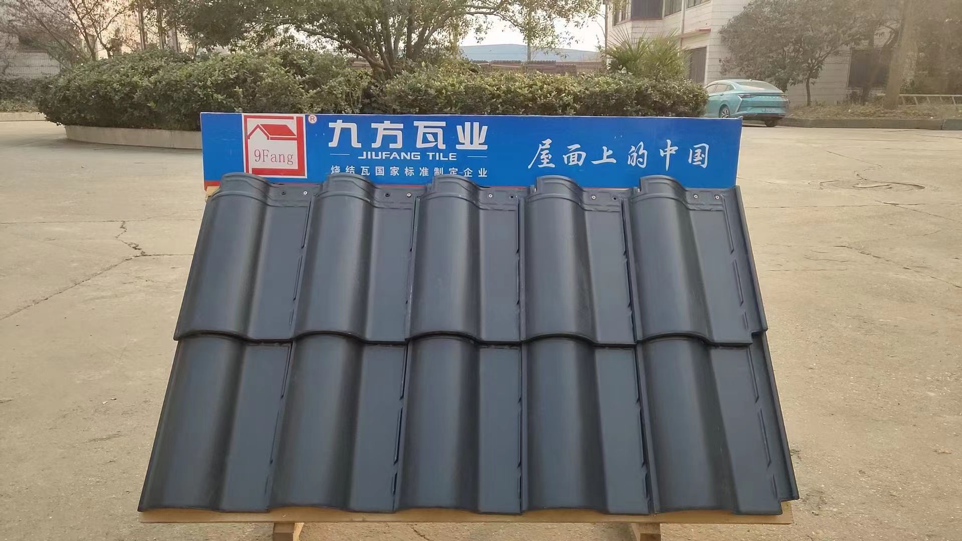 尊龙时凯摘要2024第3期