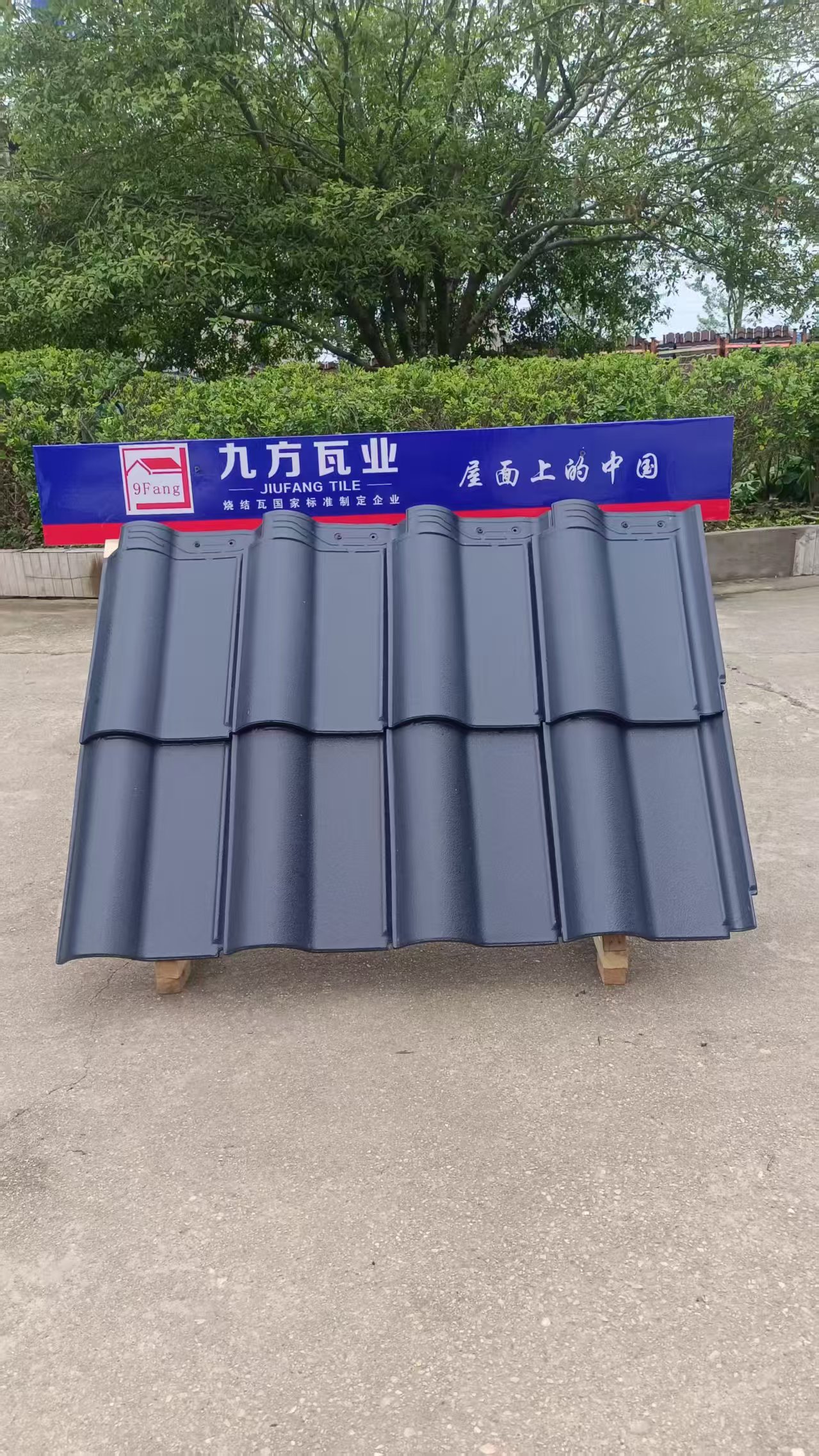 尊龙时凯摘要2025第16期